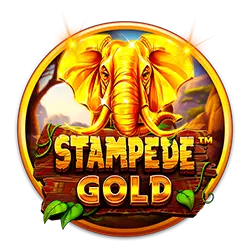 tq777 casino how to play sport bet online